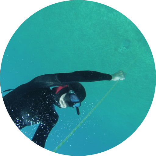 diving